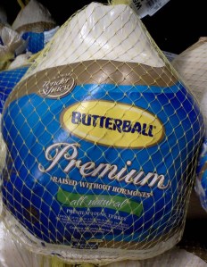 IMG2501-e1352796768675-793x1024