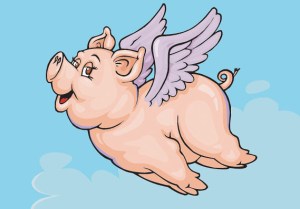 pigs fly