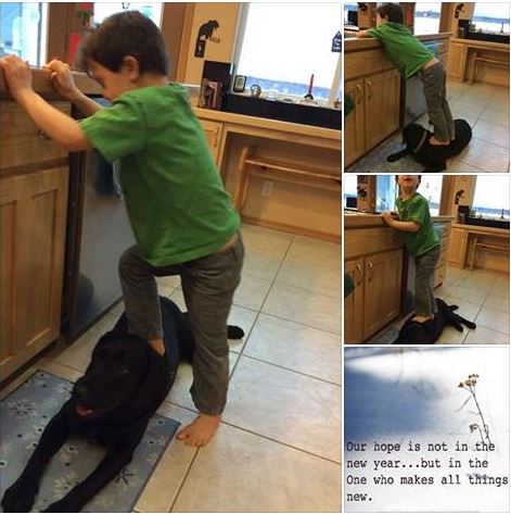 Sarah Palin's son Trig, uses family dog as a step stool (Screen capture from Sarah Palin's Facebook Page)