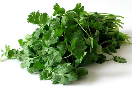 1438173817cilantro