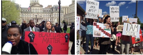 Protests; left, BlackLivesMatter, and right, LionLivesMatter
