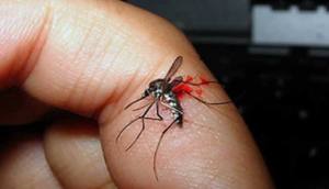 7157292F-021E-4A1D-8D96-1ADBFC70083E