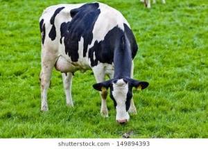 BF3FD6F9-1BEE-4876-808D-37A5B45574B1