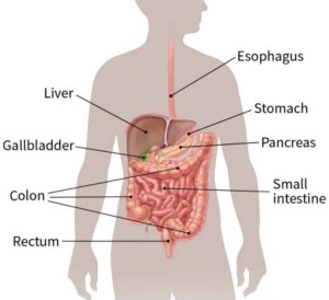 C717B304-FE98-4036-80FD-3B096A0E9023